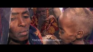 Shukri Jamal amp Galana Garomsa  Lammiin koo beelahe NEW2015 Oromo Music [upl. by Zerline130]