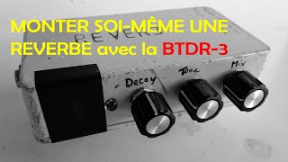 Comment monter une réverbe pour guitare avec la BTDR3 de Belton Accutronics [upl. by Naujled]