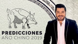 PREDICCIONES AÑO CHINO DEL CERDO 2019 [upl. by Germana686]