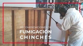 Fumigación de Chinches  ✅ Recomendaciones Previas [upl. by Namrak395]