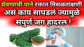 शेवग्याच्या पानाचे नविन गुणधर्म ज्यामुळे पुर्ण जग हैराणbest healthy foodgrainsmilletsin marathi [upl. by Carolin]