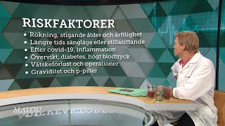 Så farlig är en blodpropp – det är varningssignalerna  Malou Efter tio TV4 [upl. by Dustin]