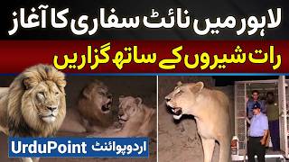 Lahore Safari Zoo Mein Night Safari Start  Night Lions Ke Sath Guzare Aur Lion Ko Khana Bhi Khilaye [upl. by Noami]