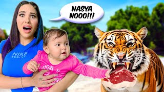 NASYA POR PRIMERA VEZ EN UN ZOOLÓGICO Alimento animales salvajes 😰 [upl. by Sibley]