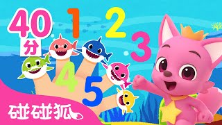 從一數到五 數字兒歌合集  嘟嘟嘟 鯊魚舞 鯊魚歌 童謠串燒 幼兒音樂 兒童歌曲  鯊魚寶寶 Baby Shark 碰碰狐 Pinkfong [upl. by Airbas175]