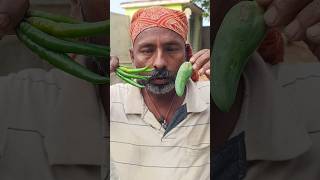 Spicy mirchi ka nashta 🥵🥵🌶️🌶️💔💔😭😭🙏🙏shortvideo youtubeshorts song music yt sadsong funny [upl. by Madai]