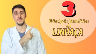 3 PRINCIPAIS benefícios da linhaça nutricionista [upl. by Eben529]