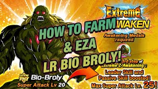 LR Bio Broly Farming amp EZA Guide The Immortal BioWarrior DBZ Dokkan Battle [upl. by Parrisch778]