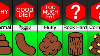 Comparison What Your Poop Says About Your Health [upl. by Imhsar]