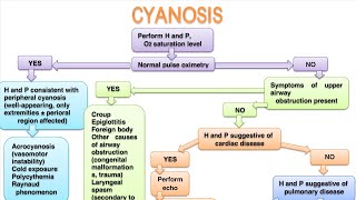 CYANOSIS In pediatrics [upl. by Miah799]