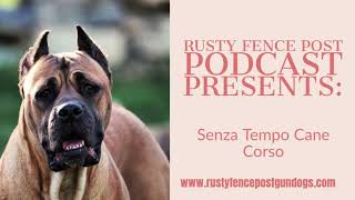 Episode 1 Senza Tempo Cane Corso [upl. by Huebner532]