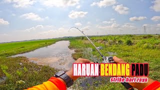 Casting Ikan Haruan  3 Hari 1 Kampong Jelajah cari HARUAN RAYA JamriFishing [upl. by Sheehan151]