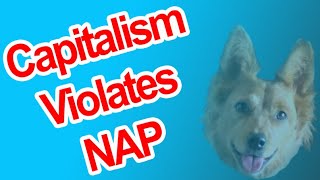 Capitalism Violates NAP  Radical Reviewer [upl. by Aracahs]