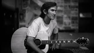 Townes Van Zandt  Buckskin Stallion Blues [upl. by Qifar793]