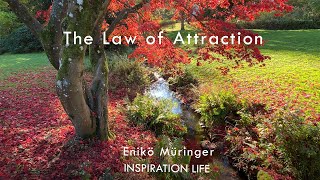 The Law of Attraction  Enikö Müringer INSPIRATION LIFE [upl. by Nerol43]