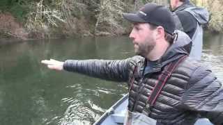 Olympic Peninsula Steelhead [upl. by Okire789]