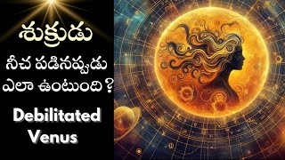 శుక్రుడు నీచ పడినప్పుడు ఎలా ఉంటుంది Debilitated Venus [upl. by Lemor968]