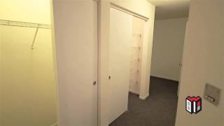 Apartments at 6446 S Kenwood Ave in Chicago IL  2BD 1BA Wolcott Apartment For Rent [upl. by Yelkreb]