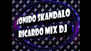 ZAPATEADO MIX Dj Rickardo Mix [upl. by Shea]