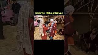 Kashmiri Mehman Nawazi shorts shortsfeed shortsvideo youtubeshorts kashmir kashmiri tiktok [upl. by Izaak927]