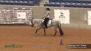 A Judges Perspective 2017 AQHA Select Western Riding World Champion [upl. by Minna]