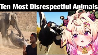 They are Savage rosiebellmoo Reacts  Casual Geographic Top 10 Animals with Black Air Force Energy [upl. by Ahgiela]