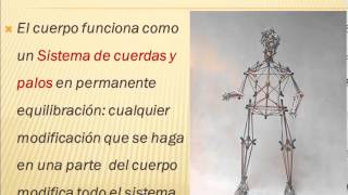 Sistema Fascial y Tensegridad [upl. by Anissej226]