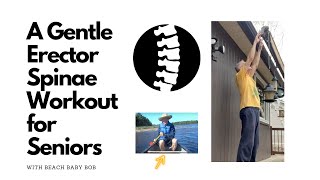 A Gentle Erector Spinae Workout for Seniors [upl. by Merrielle101]