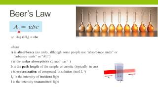 Spectrophotometric Enzyme Assays [upl. by Kikelia]