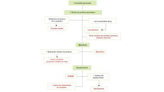 Sémiologie néphrologique 5 [upl. by Beera632]