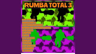 Rumba Total 3 Megamix [upl. by Lehcor]