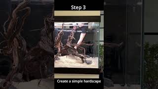 1000 Litre Planted Tank Step by Step [upl. by Phylis]