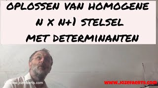 619 Homogeen n x n1 stelsel met determinanten [upl. by Rauch743]