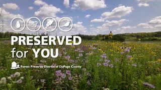 20 years of restoration at Herrick Lake Forest Preserve [upl. by Yessak]