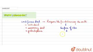 What is lactiferous duct  12  HUMAN REPRODUCTION  BIOLOGY  VMC MODULES ENGLISH  Doubtnut [upl. by Rumit647]