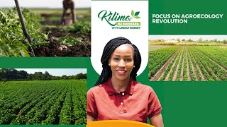 Focus On Agroecology Revolution In Kenya  Kilimo na Biashara [upl. by Eahsram]