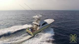 Sailfishing in Guatemala with Sailfish Oasis [upl. by Docilla]