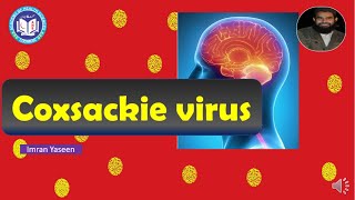 Coxsackie virus causes Herpangina and pleurodynia  Virology  by Imran Yaseen [upl. by Dnomra4]