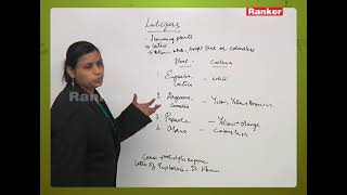 Special Tissues  Laticifers  Tissues  Internal Organization in Plants  Botany  NEET  EAMCET [upl. by Enahsed]