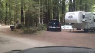 Gualala redwood campground [upl. by Enirehtacyram]