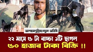 ২২ মাসে ৫ টা বাচ্চা ১ ছাগলে ৫০ হাজার বিক্রি করলাম  Sagol palon  Nibir Krishi [upl. by Sikleb]