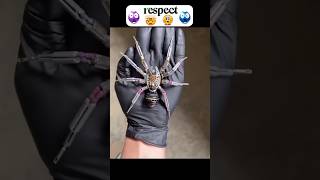 Mechanical Spider respect shorts viralshorts [upl. by Kondon]