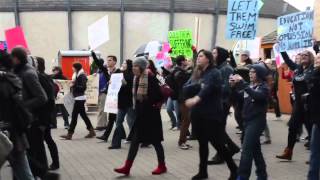 Voice for the Voiceless  Marineland Animal Rights Demonstration Canada [upl. by Analart795]