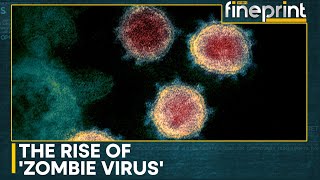 Scientists sound alarm for potential outbreak of Zombie Virus  WION Fineprint [upl. by Nueovas235]