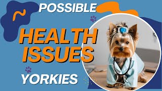 Does your Yorkshire Terrier have any of these health issues Top TIPS on How to Prevent Them [upl. by Kape]