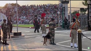 AttariWagah Border Beating Retreat Crowd Gathers To Witness Ceremony Ahead Of Independence Day [upl. by Conrade]