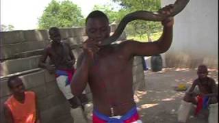 Vuvuzela African Horn  Fantastic Sound [upl. by Mlohsihc]