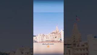 Dwarka Nagri 🙏🌹 shorts akashpatelchikhli youtubeshorts ytshorts dwarkadhish dwarka [upl. by Rodablas]