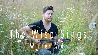 The Wisp Sings  Winter Aid Acoustic Cover in a Meadow [upl. by Annuaerb]