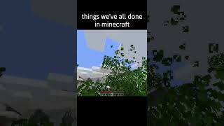 minecraft relatable moments [upl. by Palocz]